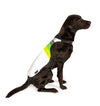 Gilet pour chien GoFluo – Moonlight