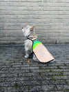 Gilet pour chien GoFluo – Moonlight