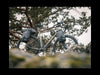 Sacoche bikepacking Old Man Mountain – Hemlock