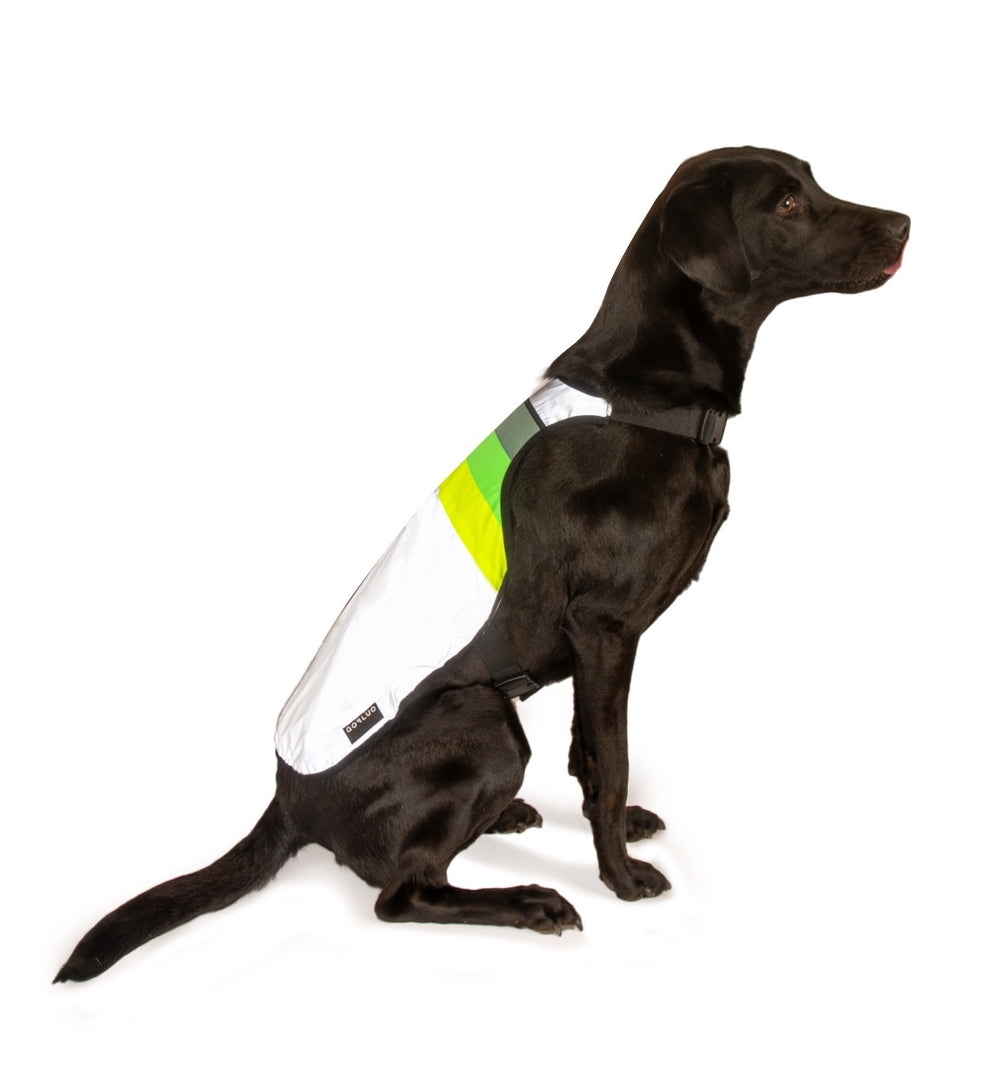 Gilet pour chien GoFluo – Moonlight
