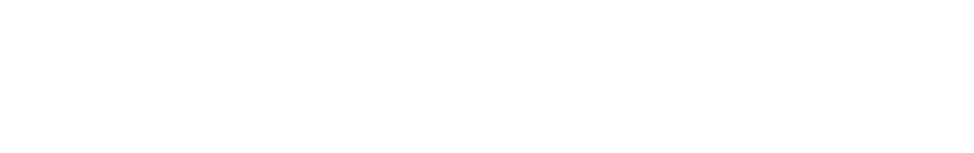 Logo Badawin blanc