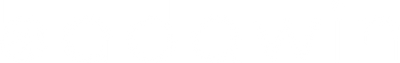 Logo Badawin blanc