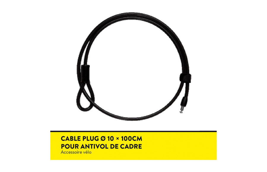 Câble Plug Auvray pour Megalock - détail