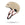 Casque vélo enfant Cairn Darwin J Mat Biscuit Mocha