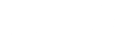 Logo newlooxs blanc