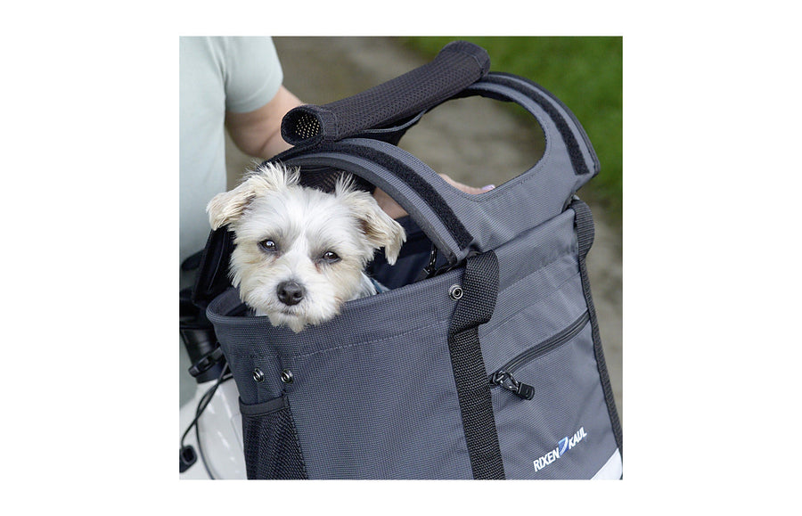 Chien a l ombre dans le panier velo Shopper Doggy