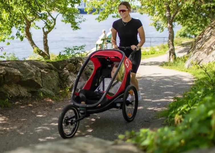 Roue tout-terrain pour remorque vélo Hamax