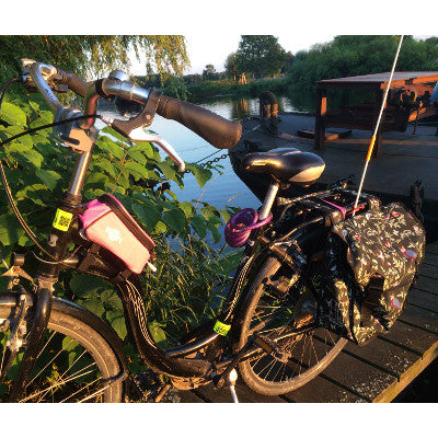 Fixation de la Basil Wanderlust sur le porte-bagages
